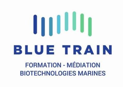 Logo Blue Train