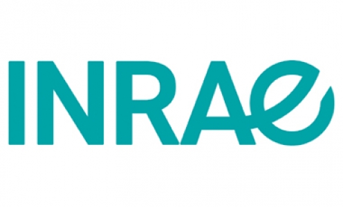 Logo INRAE