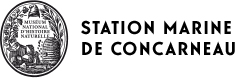 Logo Station marine Concarneau