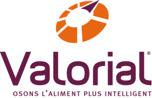 logo valorial