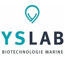 Logo Yslab