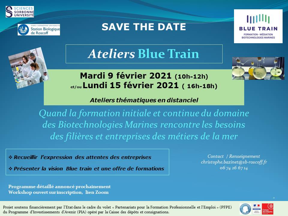 Save the date Ateliers Blue Train - 9 & 15 février 2021