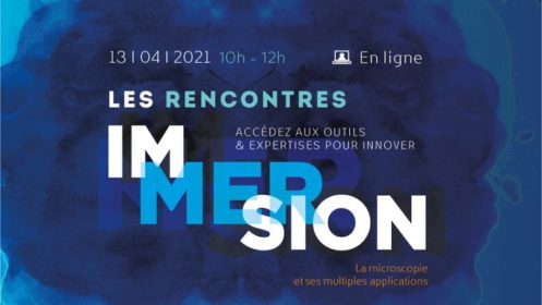 Illustration Rencontres Immersion