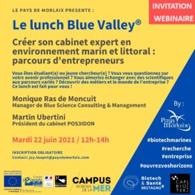 Affiche lunch Blue Valley