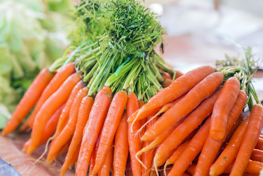 Carottes en direct de Bretagne