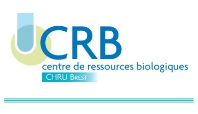 Logo CRB Brest