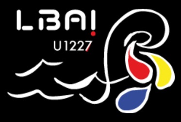 Logo LBAI