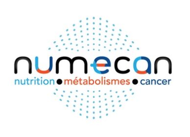Logo Institut NuMeCan